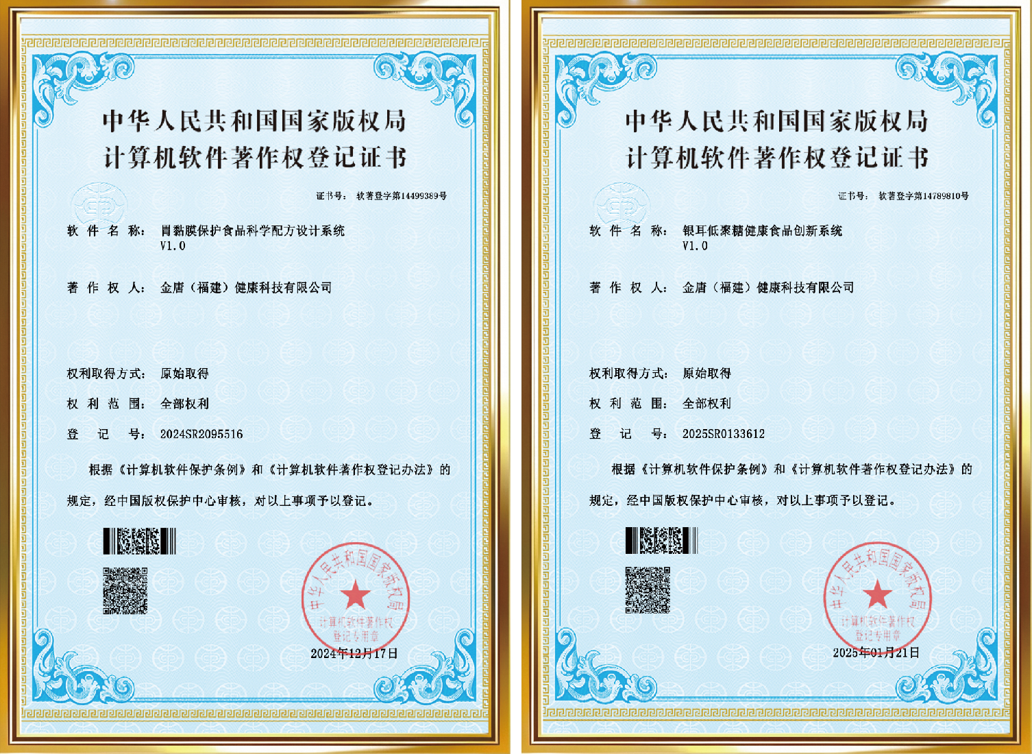 计算机软件系统著作权