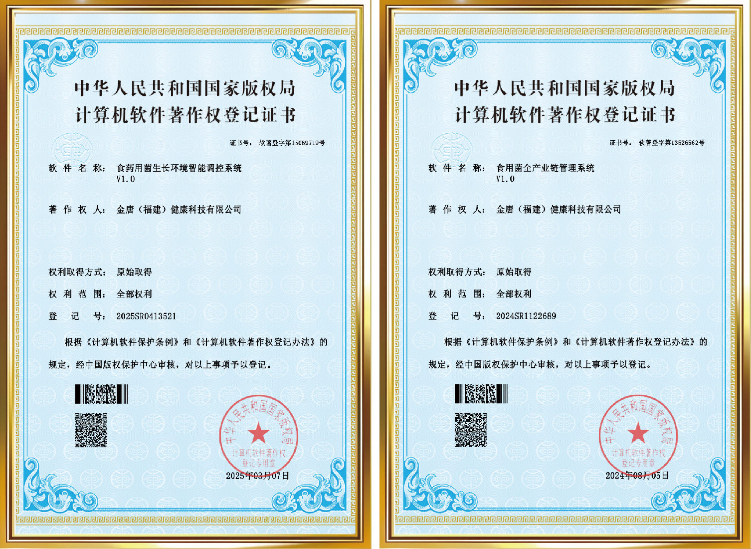 计算机软件系统著作权